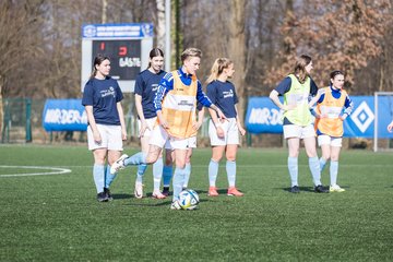 Bild 142 - F Hamburger SV 3 - Blau-Weiss 96 : Ergebnis: 5:1